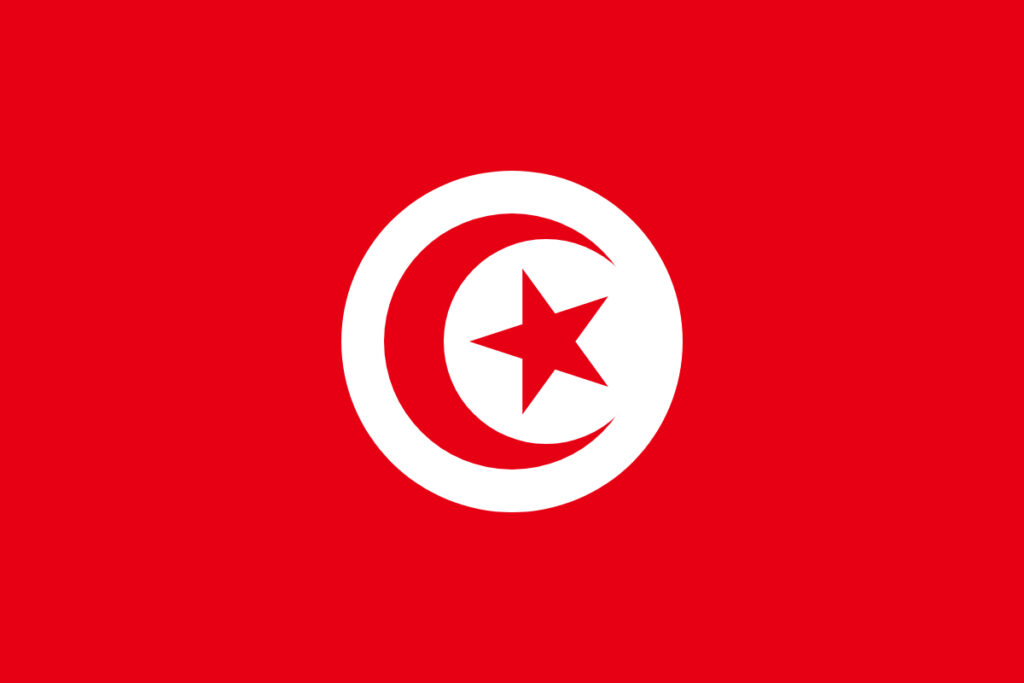 Mineral resources of tunisia